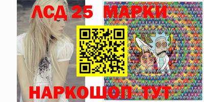 амф Сланцы