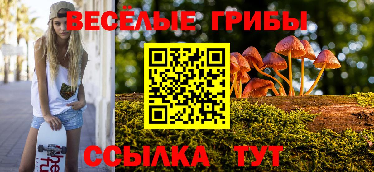 Галлюциногенные грибы Cubensis Нижний Тагил
