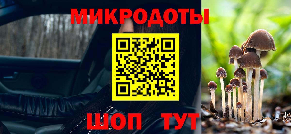 Галлюциногенные грибы Psilocybe  Вход с VPN  Нижний Тагил 